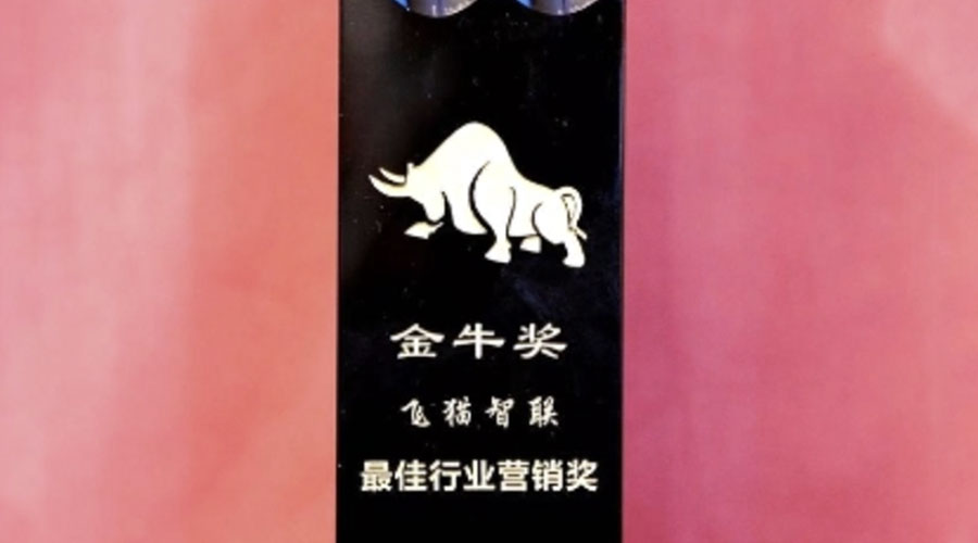 飞猫智联金牛奖