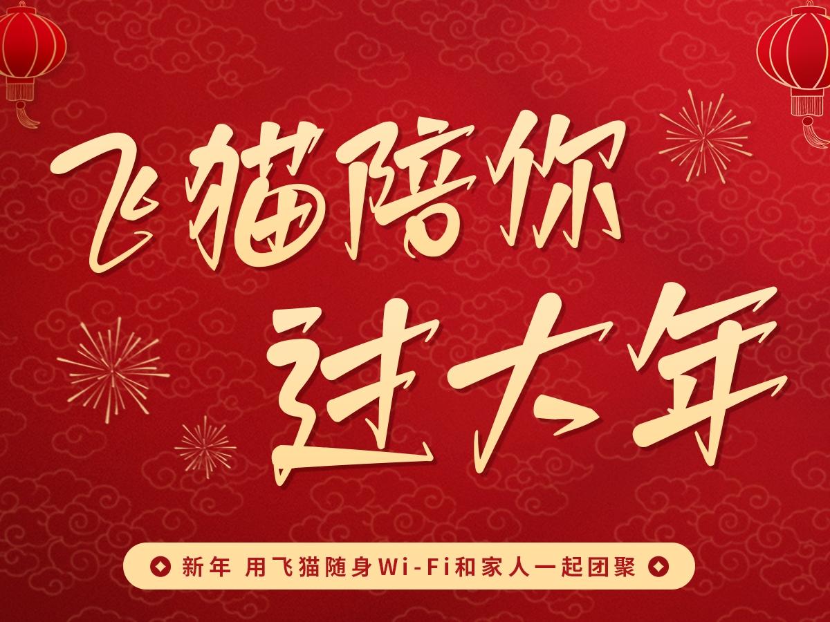飞猫陪您过大年系列短剧-亲情