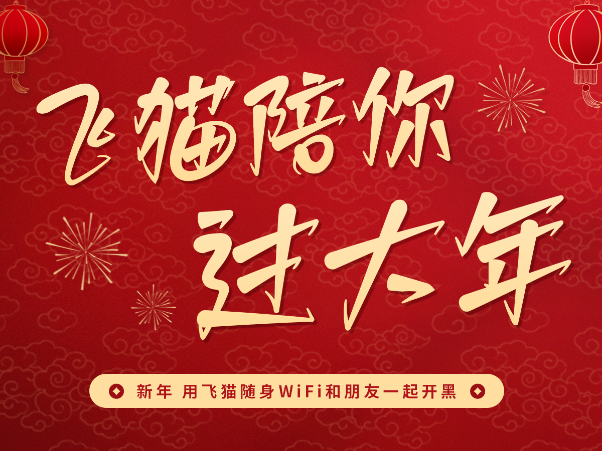 飞猫陪您过大年系列短剧-友情