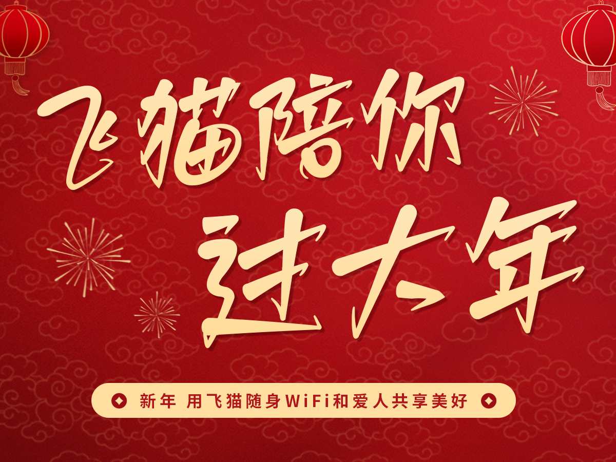 飞猫陪您过大年系列短剧-爱情