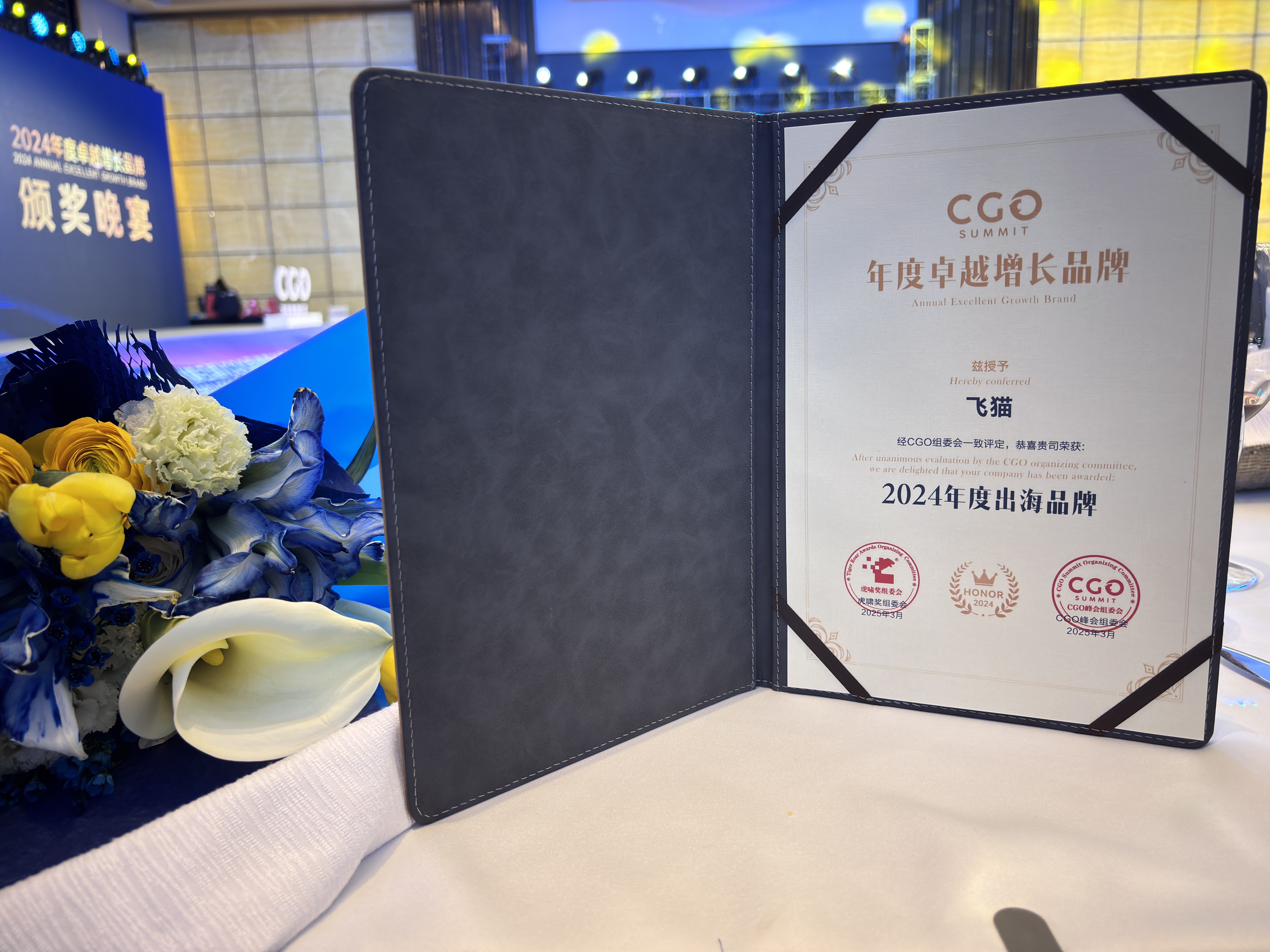 飞猫荣获2024年度出海品牌-CGO-2