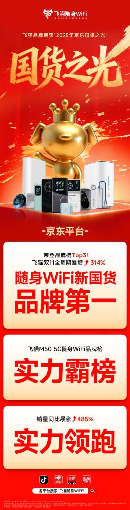 飞猫双十一战报